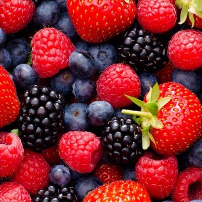 Longevity Activator Ingredients