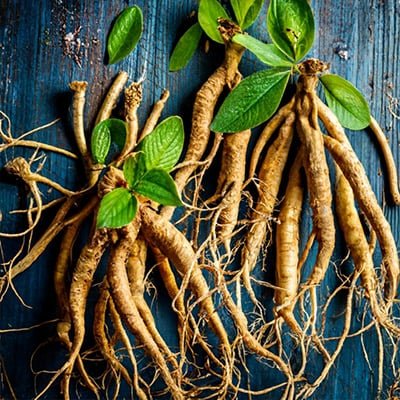 Longevity Activator Ingredients