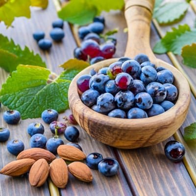 Longevity Activator Ingredients